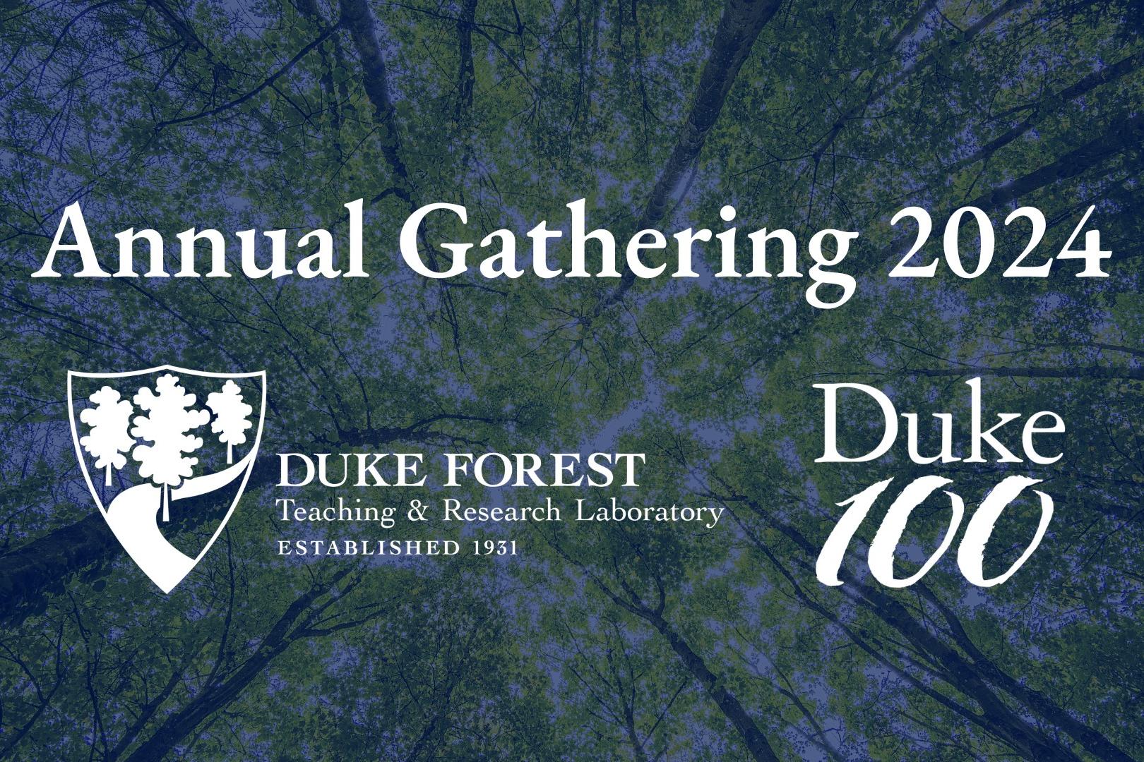 Text saying Annual Gathering 2024 with Duke Forest and Duke Centennial logos on top of a faded background of tree canopy.